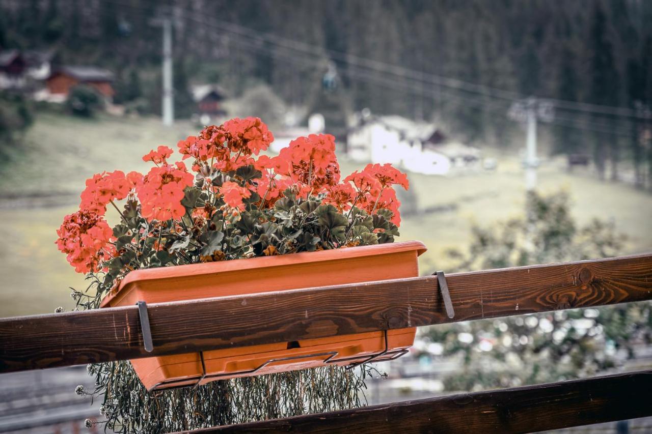 Chalet Du Lys Hotel & Spa Gressoney-La-Trinite Exterior photo